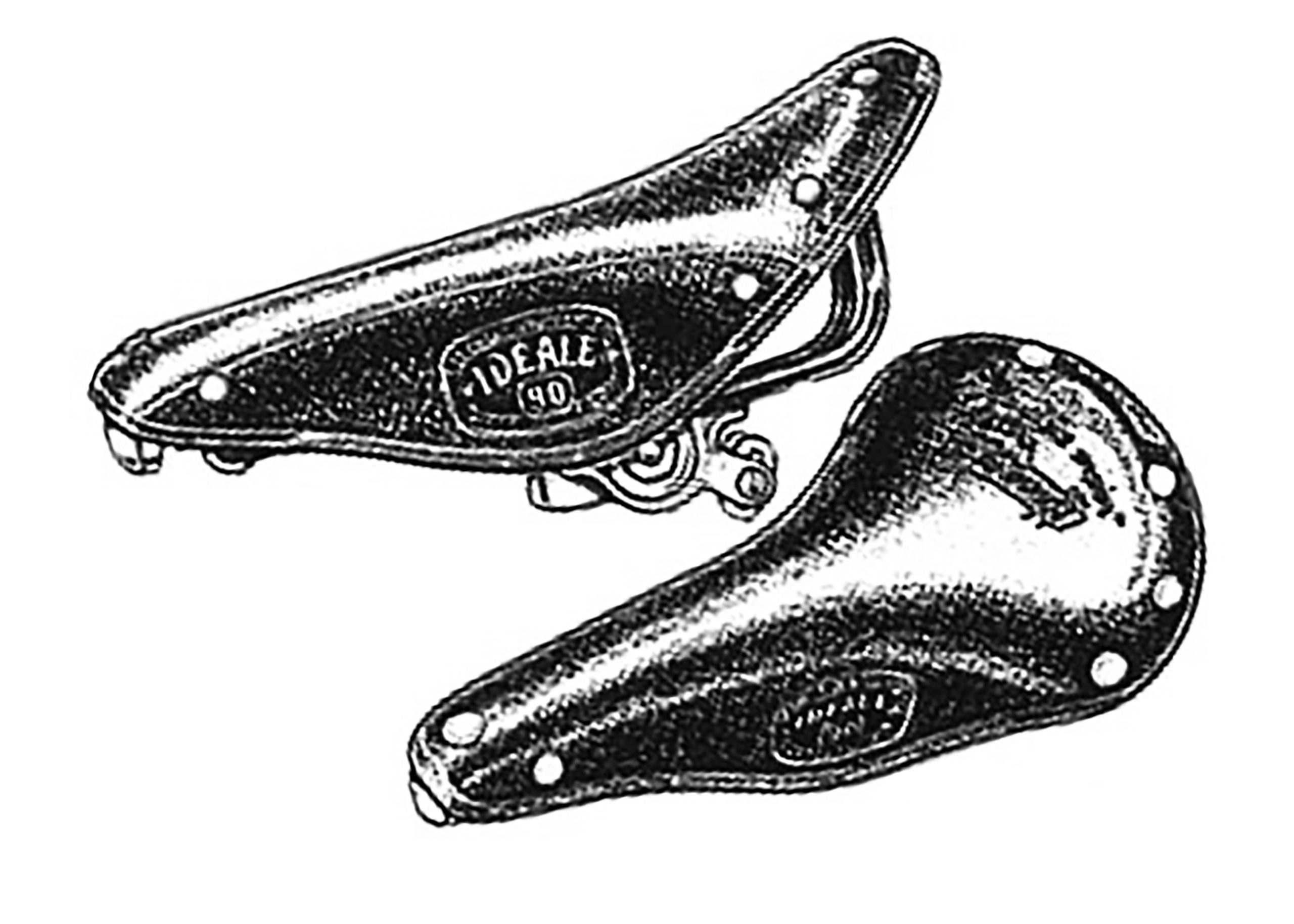 Daniel Rebour Ideale Saddles