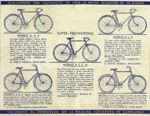 Automoto Agentina Catalog Insert