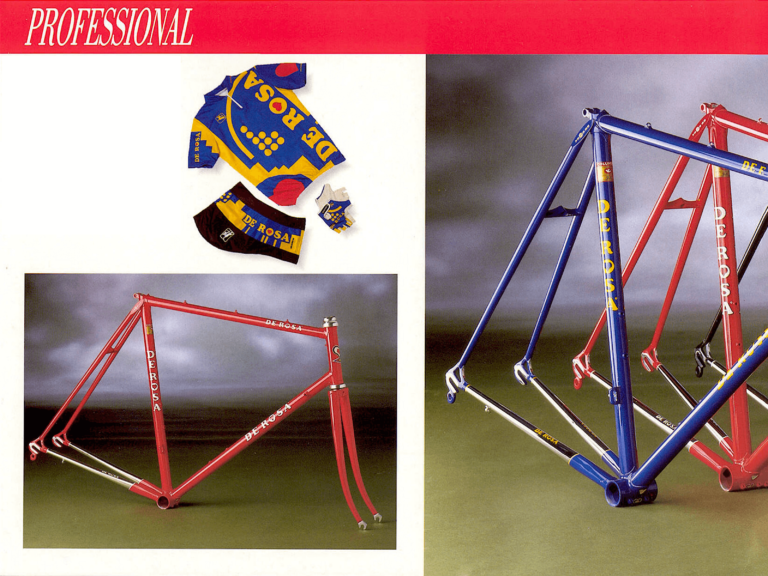 De Rosa 1989 Catalog — Frames and Bicycles, with the 35° Anniversario Limited Edition — page 2 of 8