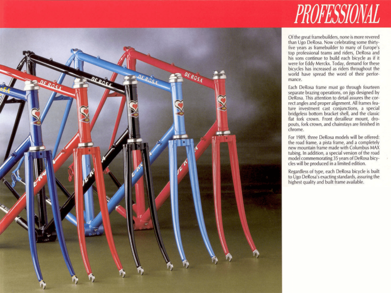 De Rosa 1989 Catalog — Frames and Bicycles, with the 35° Anniversario Limited Edition — page 3 of 8