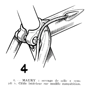 Maury Top Xx 22 2400px