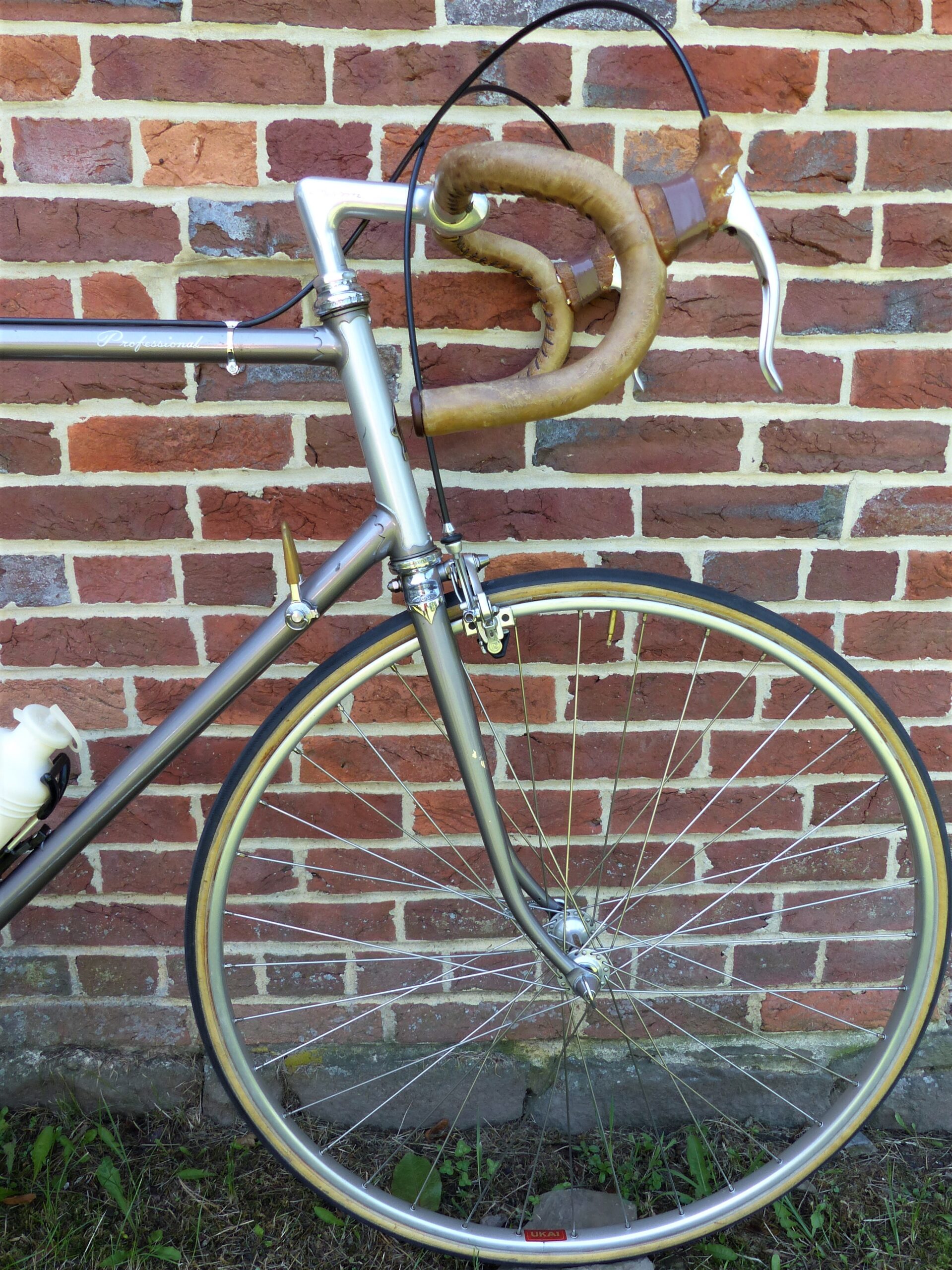 Front three-quarter view of a 1979 Fuji Professional road bicycle in silver, showing the Professional script on the top tube, chrome fork crown and Ukai rim