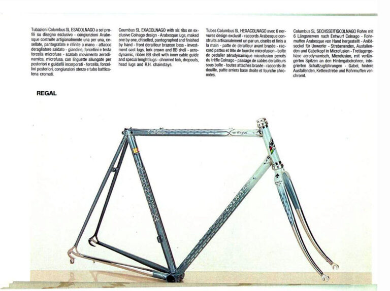 Colnago 1986 Catalog — Catalogo Generale: Super, International, Victory, Mexico, Regal, Master and Krono, with City Bicycles, Mountain Bikes and Framesets — page 18 of 20