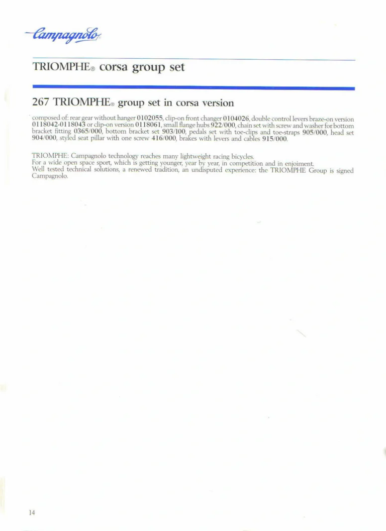 Campagnolo 1985 Catalogue No. 18 bis — C-Record, Victory and Triomphe: the Groups, Gears, Brakes and Rims of the C-Record Range — page 13 of 54