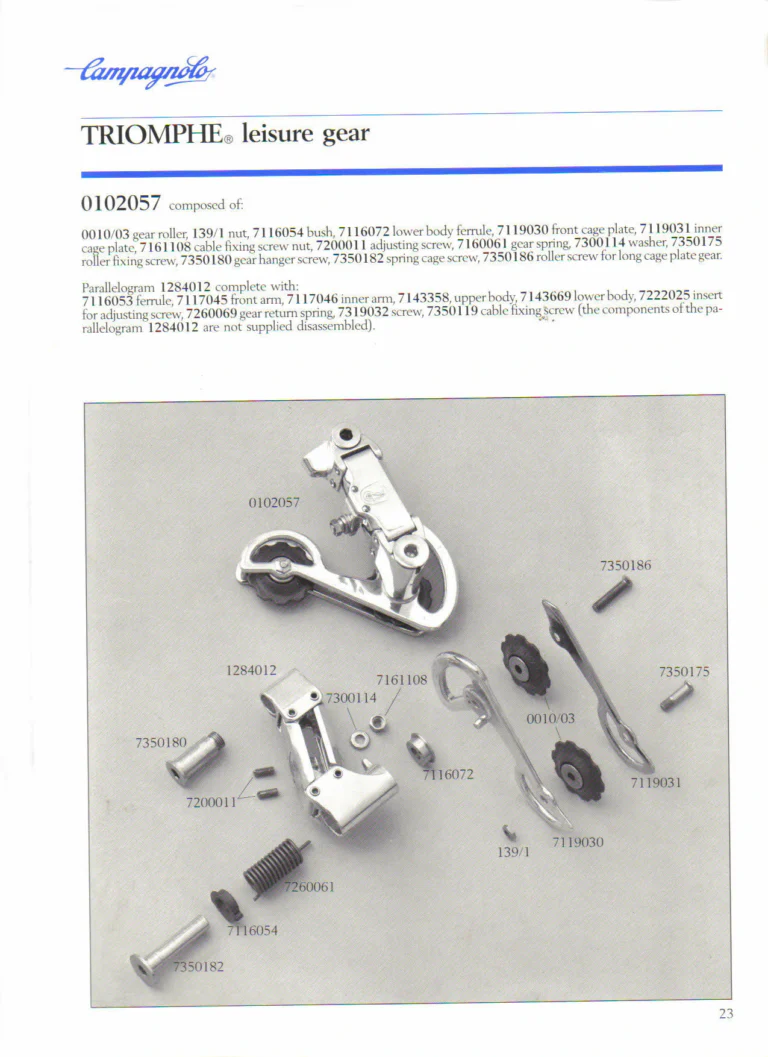Campagnolo 1985 Catalogue No. 18 bis — C-Record, Victory and Triomphe: the Groups, Gears, Brakes and Rims of the C-Record Range — page 22 of 54