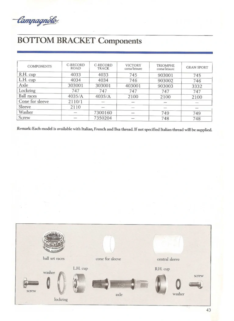 Campagnolo 1985 Catalogue No. 18 bis — C-Record, Victory and Triomphe: the Groups, Gears, Brakes and Rims of the C-Record Range — page 42 of 54